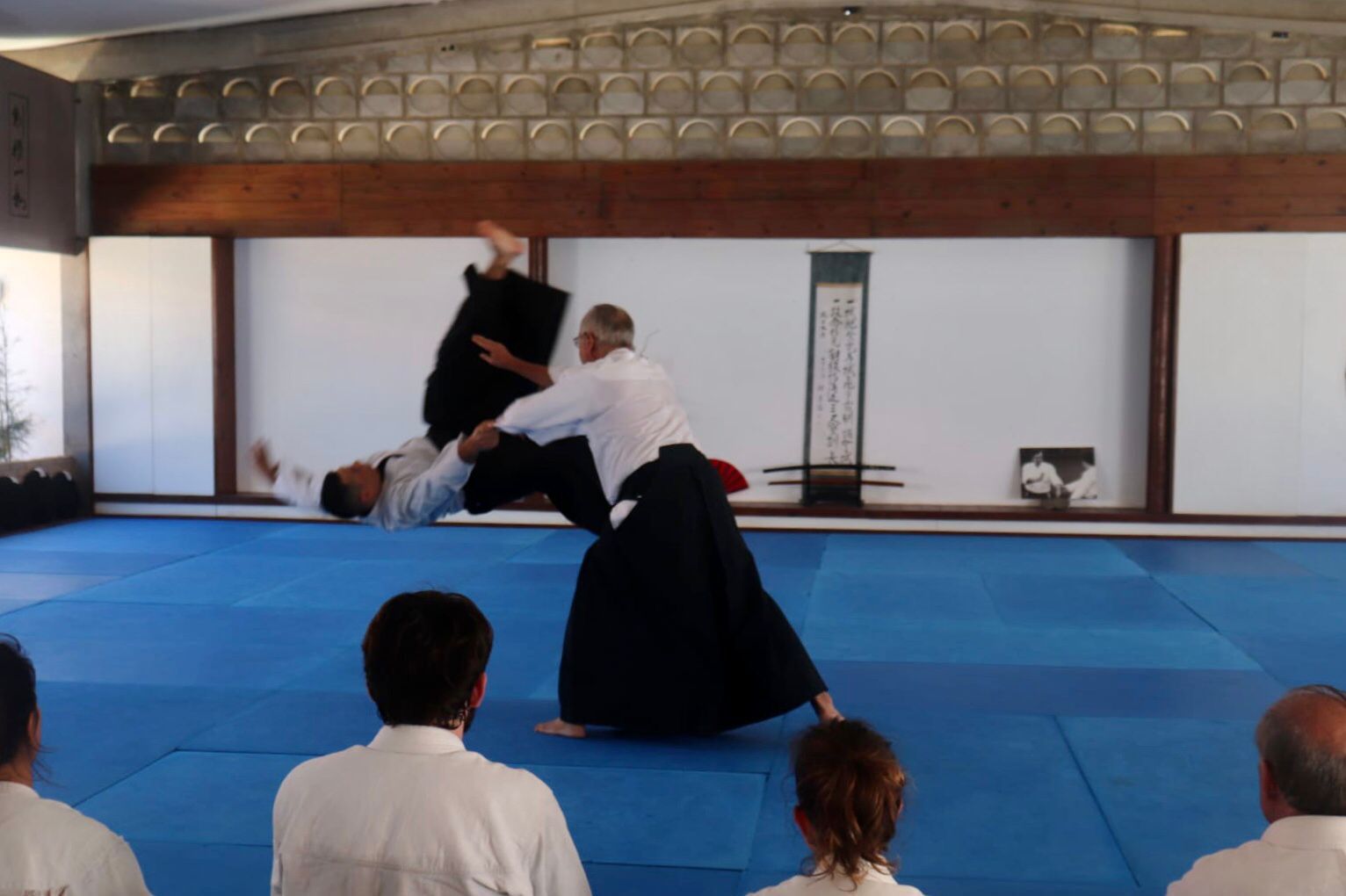 Imagem de Aikido