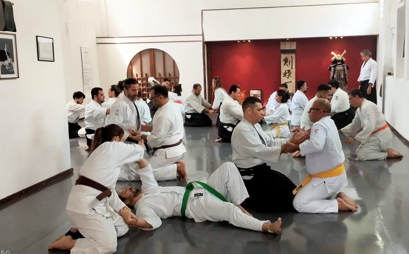 Estágio de Aikido